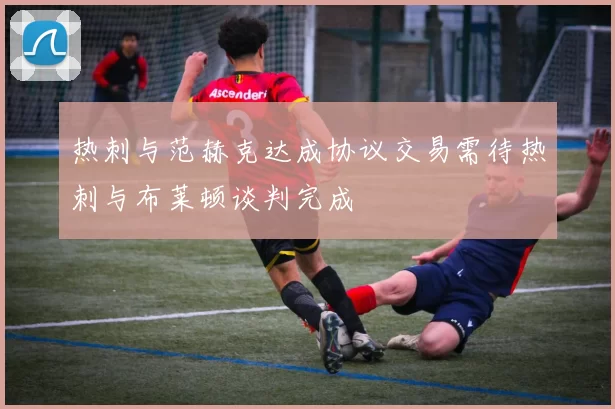 热刺与范赫克达成协议交易需待热刺与布莱顿谈判完成
