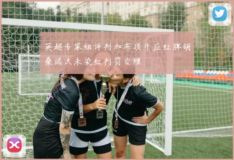 英超专家组评判加布顶牛应红牌胡桑诺夫未染红判罚合理