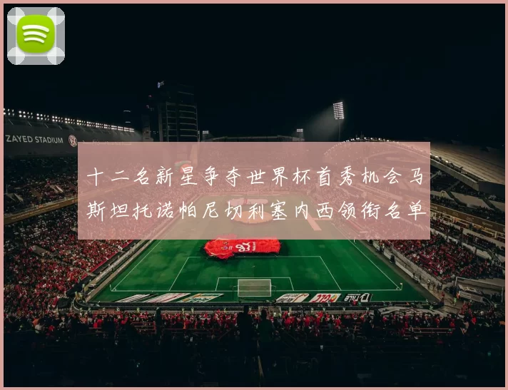十二名新星争夺世界杯首秀机会马斯坦托诺帕尼切利塞内西领衔名单